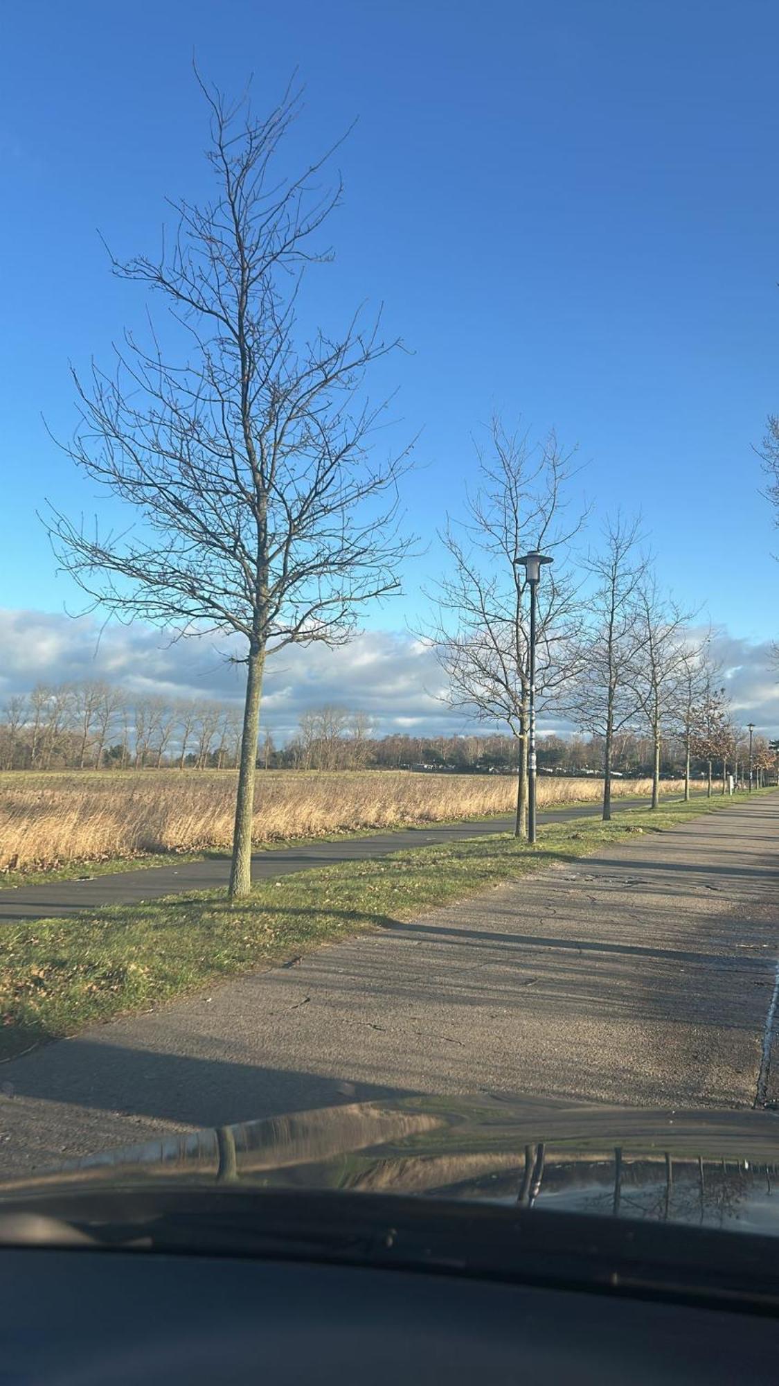 Einzelzimmer Mit Gemeinschaftsbad Pruchten エクステリア 写真